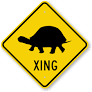 Turtle Crossing