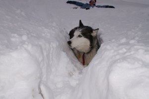 135680_10150369985745198_1463724_o