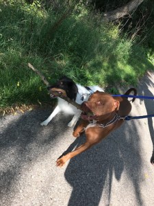 6dbebae2-737f-4e1c-8a66-3a7343727f0c