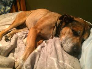 14885930_10154798789722249_17916677_n