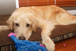 15025426_10154832862712249_6876963451632936258_o