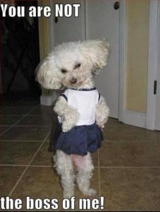 you-are-not-the-boss-of-me-quote-1