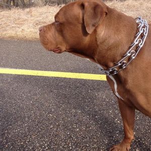 12748363_1756882264531821_1154120014_n