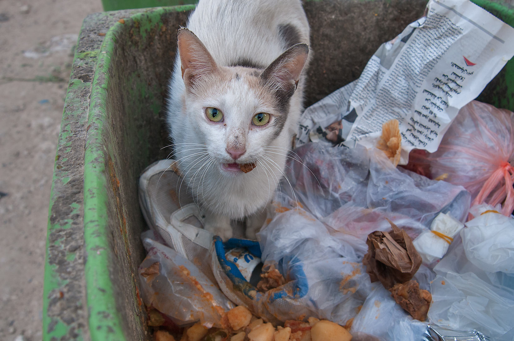 D3B2BA79-4451-4585-8FAD-7B91AD5D8D06